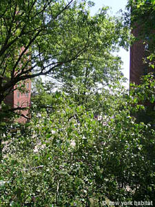 New York 2 Zimmer wohngemeinschaft - andere (NY-12728) photo 1 von 1