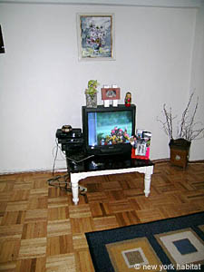 New York 2 Zimmer wohngemeinschaft - wohnzimmer (NY-12728) photo 3 von 4