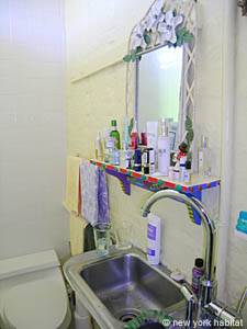 New York Studio T1 - Loft appartement location vacances - salle d'eau (NY-12743) photo 2 sur 3
