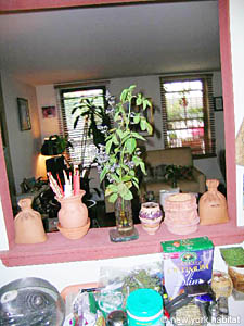 Nueva York 2 Dormitorios - D&uacute;plex apartamento - cocina 1 (NY-12776) photo 3 de 6
