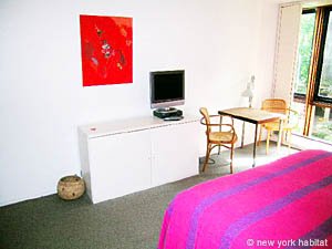 New York Studio accommodation - living room (NY-12783) photo 2 of 9