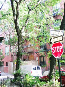 New York Studio accommodation - other (NY-12783) photo 11 of 12