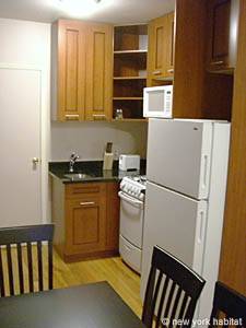 New York 1 Bedroom accommodation - kitchen (NY-12801) photo 1 of 4