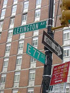 New York 1 Bedroom accommodation - other (NY-12801) photo 4 of 5