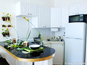 New York 1 Bedroom accommodation - other (NY-12803) photo 11 of 12