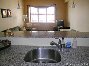 New York 2 Camere appartamento - cucina (NY-12812) photo 2 di 5