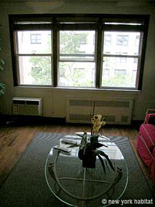 New York 2 Zimmer - Stadthaus ferienwohnung - wohnzimmer 1 (NY-12837) photo 2 von 9