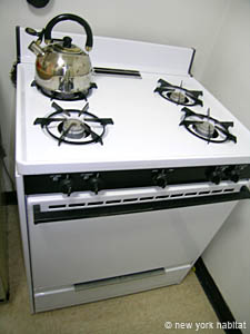 New York T2 logements location appartements - cuisine (NY-12838) photo 4 de 4