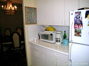 New York T2 logements location appartements - cuisine (NY-12873) photo 2 de 4
