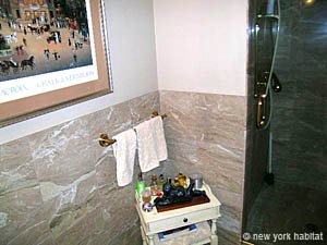 New York 2 Camere da letto appartamento - bagno 1 (NY-12875) photo 3 di 3