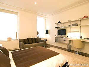 New York Studiowohnung wohnungsvermietung - wohnzimmer (NY-12885) photo 2 von 2