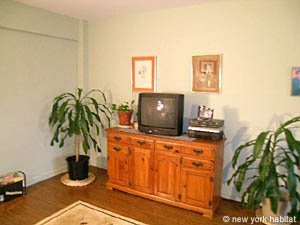 New York 3 Bedroom roommate share apartment - living room (NY-12901) photo 2 of 5