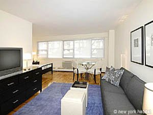 New York Alcove Studio apartment - Apartment reference NY-12915