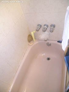 New York 2 Zimmer - Stadthaus wohnungsvermietung - badezimmer (NY-12943) photo 2 von 2