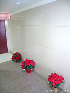 New York T2 logement location appartement - autre (NY-14023) photo 4 sur 6