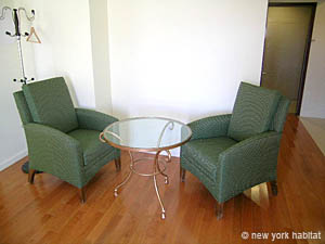 New York T2 logement location appartement - s&eacute;jour (NY-14023) photo 4 sur 4