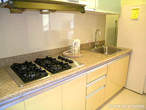 New York T2 logement location appartement - cuisine (NY-14023) photo 1 sur 2