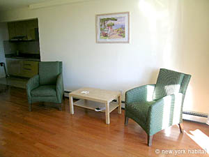 New York 1 Bedroom accommodation - living room (NY-14024) photo 3 of 6