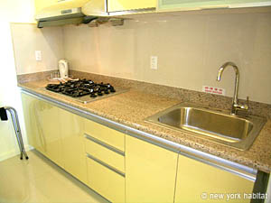 New York 1 Bedroom accommodation - kitchen (NY-14024) photo 1 of 2