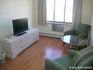 New York 2 Bedroom apartment - living room (NY-14027) photo 3 of 7