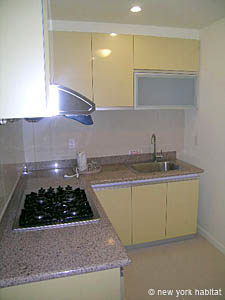 New York 2 Bedroom apartment - kitchen (NY-14027) photo 1 of 2