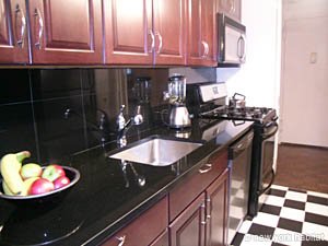 New York 2 Bedroom roommate share apartment - kitchen (NY-14039) photo 2 of 3