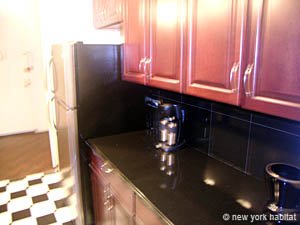 New York 2 Bedroom roommate share apartment - kitchen (NY-14039) photo 3 of 3