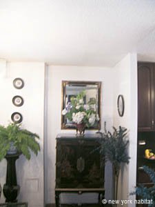 New York 2 Bedroom roommate share apartment - living room (NY-14039) photo 10 of 11
