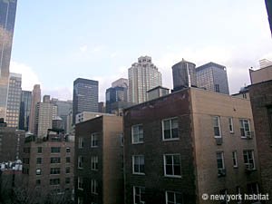 New York 1 Bedroom apartment - living room (NY-14078) photo 4 of 4