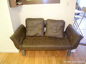 New York T2 appartement location vacances - s&eacute;jour 1 (NY-14105) photo 3 sur 3