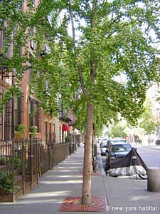 New York T2 appartement location vacances - autre (NY-14105) photo 6 sur 8