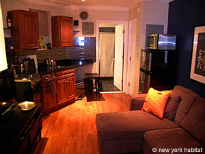 New York 1 Camera da letto appartamento casa vacanze - Appartamento riferimento NY-14147