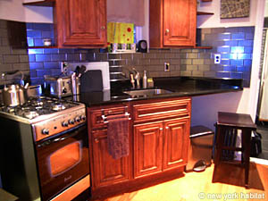 New York 1 Camera da letto appartamento casa vacanze - cucina (NY-14147) photo 1 di 2