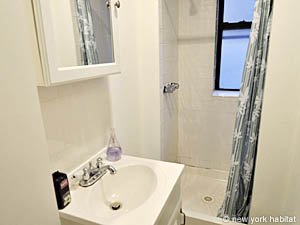 New York 1 Camera da letto appartamento casa vacanze - bagno 1 (NY-14214) photo 1 di 2