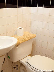 New York 5 Zimmer wohnung bed breakfast - badezimmer 2 (NY-14216) photo 5 von 5