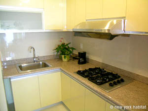 New York 2 Bedroom accommodation - kitchen (NY-14217) photo 1 of 2