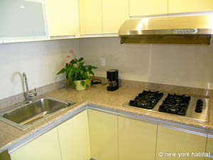 New York 2 Bedroom accommodation - kitchen (NY-14217) photo 2 of 2