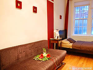 New York Monolocale appartamento casa vacanze - soggiorno (NY-14246) photo 3 di 7