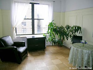New York T4 appartement colocation - s&eacute;jour (NY-14247) photo 3 sur 7