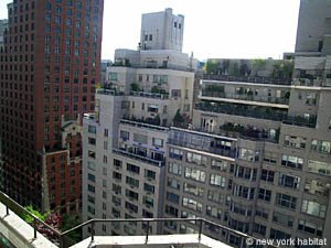 New York 4 Bedroom roommate share apartment - other (NY-14262) photo 4 of 8