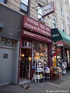 New York Monolocale affitto bed breakfast - altro (NY-14276) photo 6 di 6