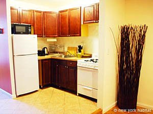 New York T3 appartement location vacances - cuisine (NY-14291) photo 1 sur 3