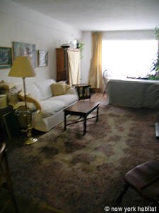 New York 2 Bedroom roommate share apartment - living room (NY-14304) photo 2 of 8