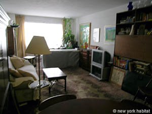 New York 2 Bedroom roommate share apartment - living room (NY-14304) photo 3 of 8