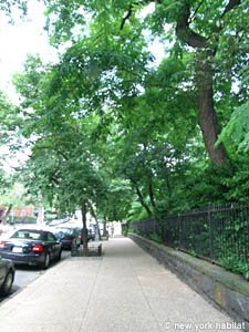 New York 2 Bedroom roommate share apartment - other (NY-14304) photo 5 of 6