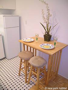 New York T2 logement location appartement - cuisine (NY-14306) photo 4 sur 4
