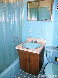 New York 2 Zimmer wohngemeinschaft - badezimmer (NY-14308) photo 1 von 2