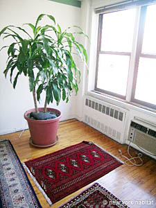New York 2 Bedroom accommodation - living room (NY-14309) photo 13 of 14