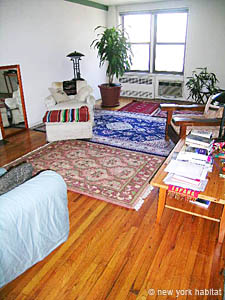 New York 2 Bedroom accommodation - living room (NY-14309) photo 4 of 14