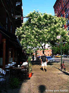 New York 2 Bedroom accommodation - other (NY-14309) photo 5 of 5